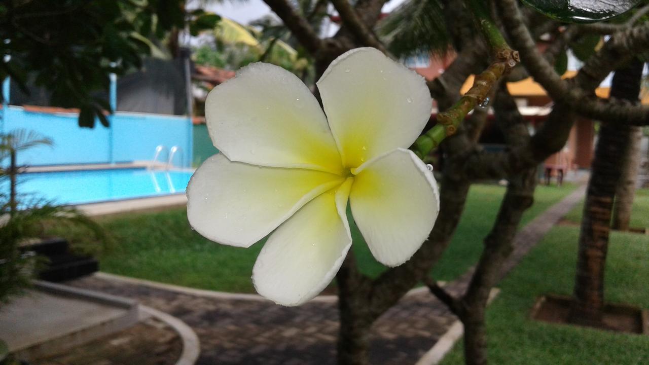 Larn's Villa Hotel&Apartment Wadduwa Esterno foto